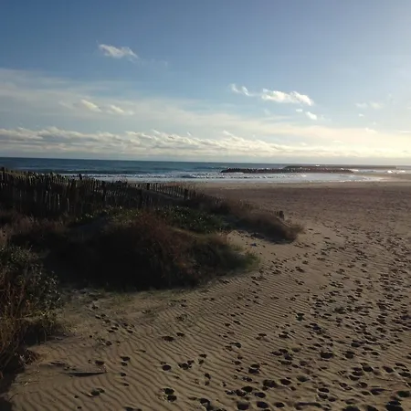 Face Avec Parking, Ascenseur, Local Velos - 30m De La Mer, Commerces A Pied - Fr-1-338-522